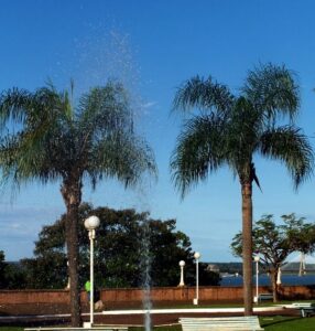 parque-paraguayo-con-el-puente
